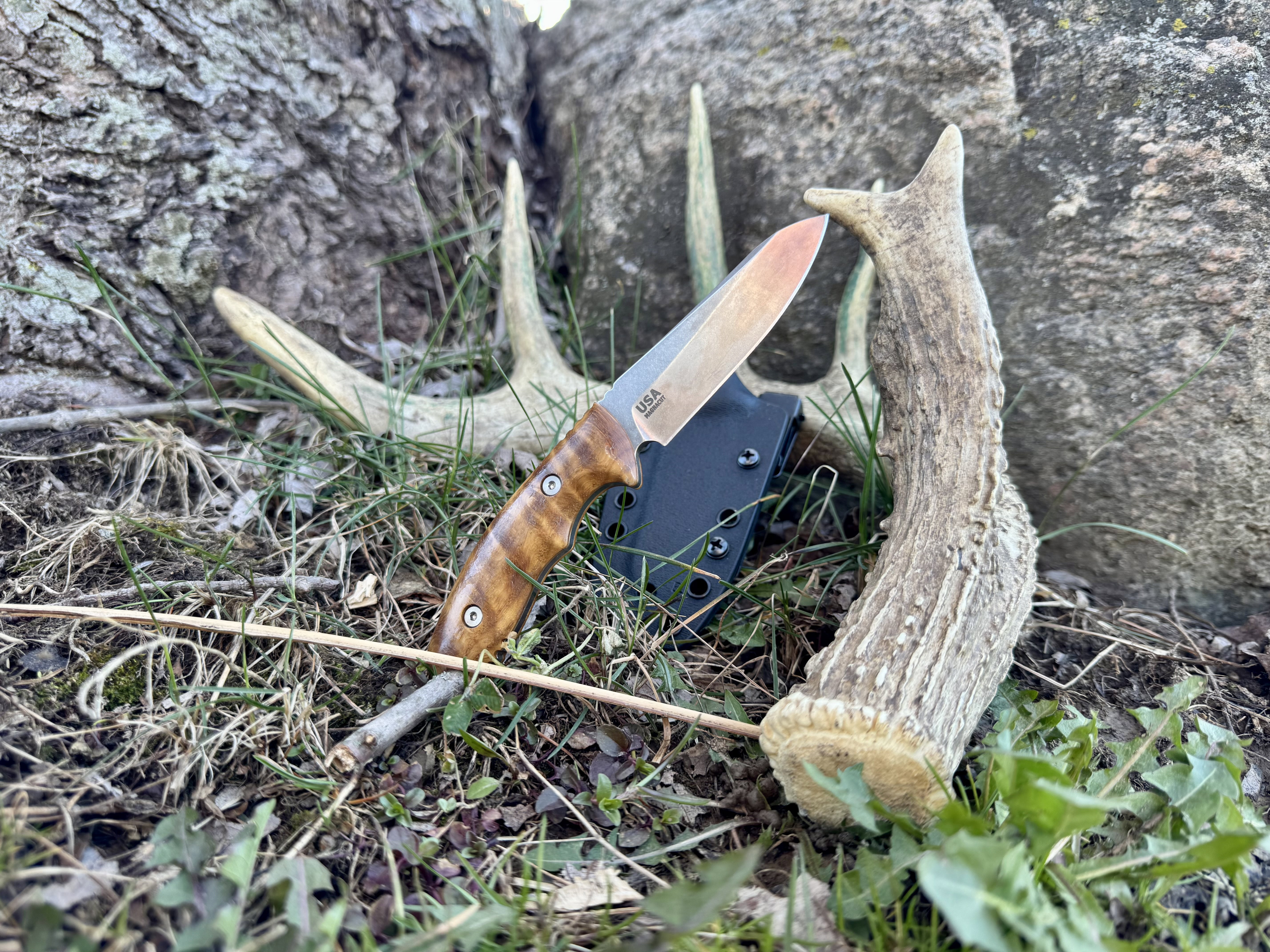 Shed Hunting Tips: Where to Find Deer Sheds This Season