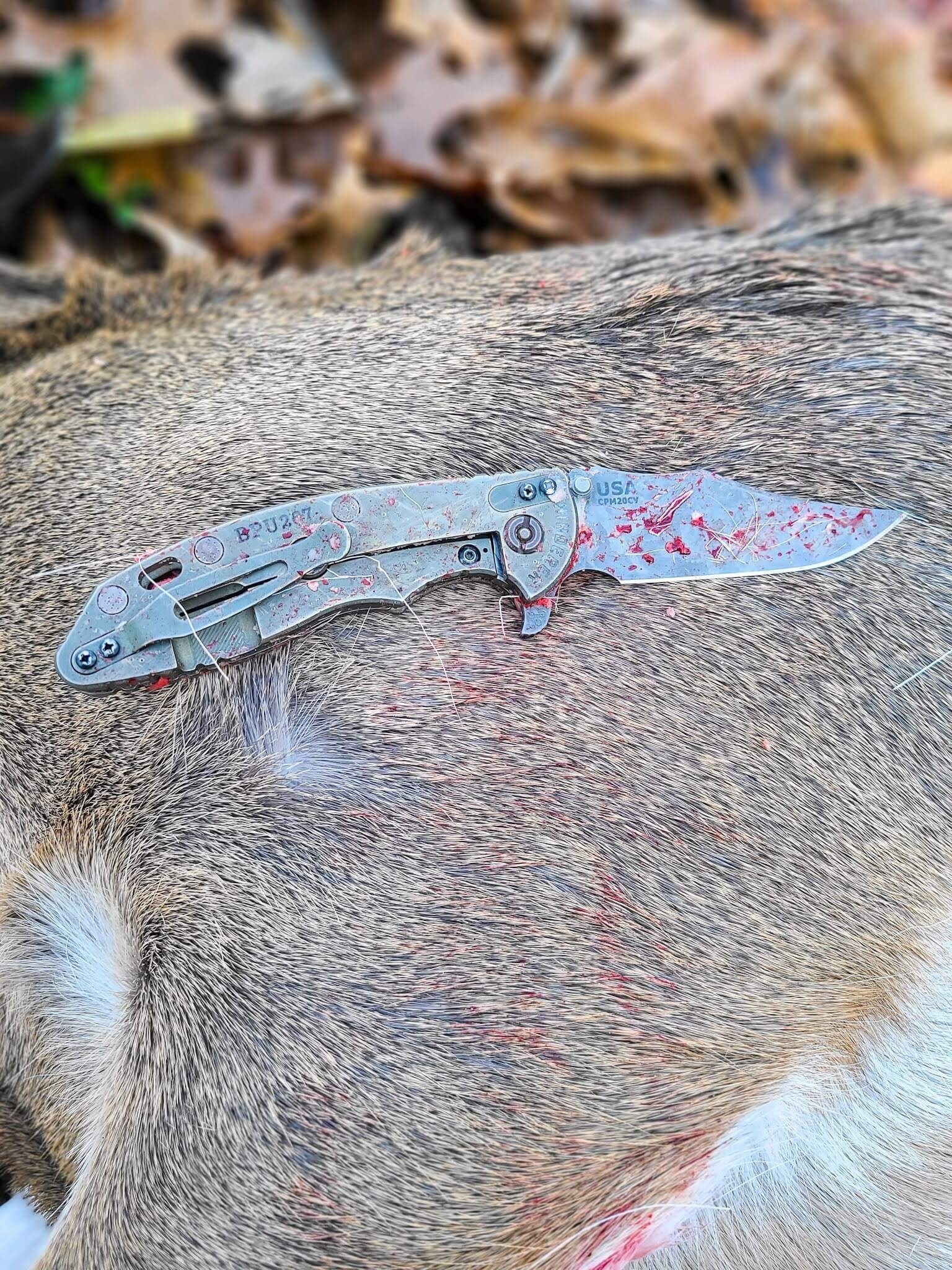 Rick Hinderer Kinves